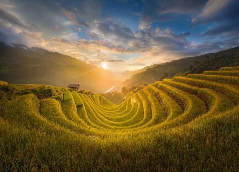 Tìm Hiểu Về Khẩu Độ Trong Ống Kính Máy Ảnh