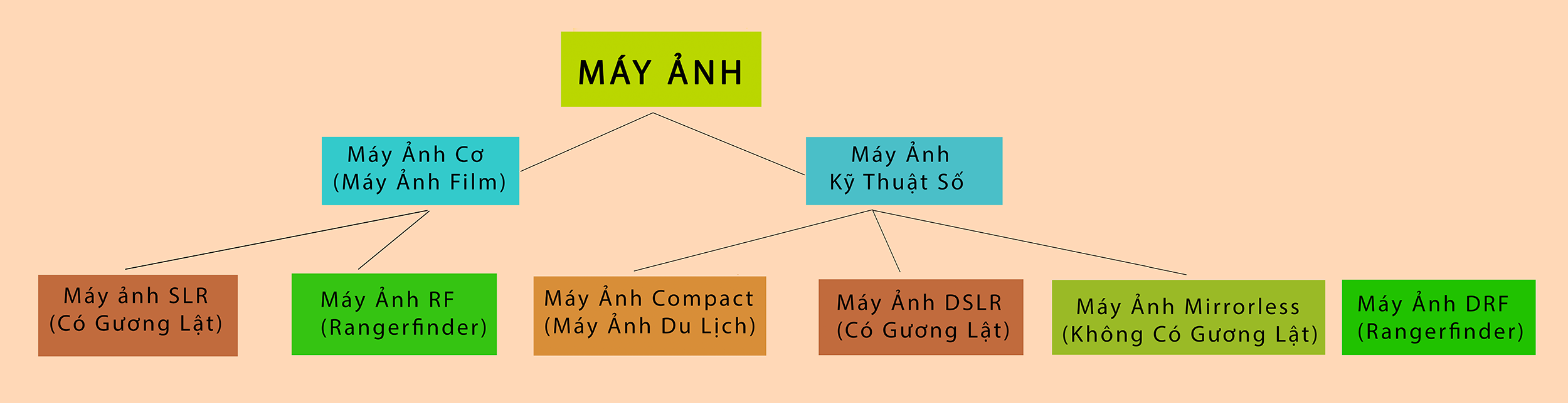 may-anh-co-1