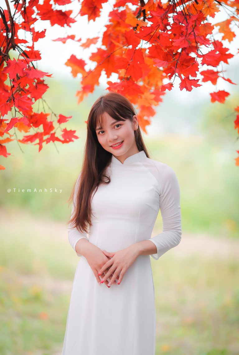 Bộ Ảnh Phong Lá Đỏ