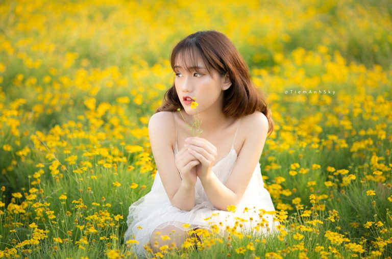 Bộ Ảnh Hoa Vàng Trên Cỏ Xanh