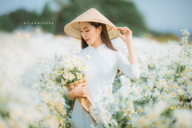 Bộ Ảnh Cúc Họa Mi – Mỹ Hạnh