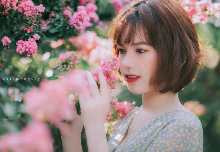 Bộ Ảnh Hoa Tường Vi Hà Nội