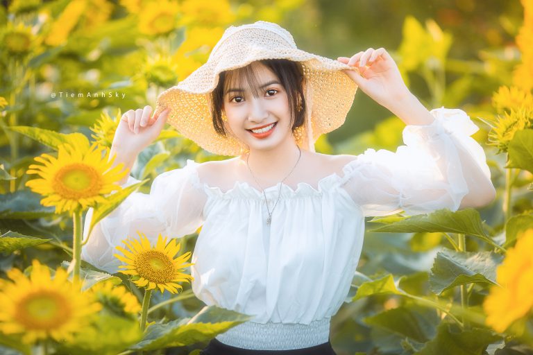Bộ Ảnh Hoa Hướng Dương – Thanh Bình