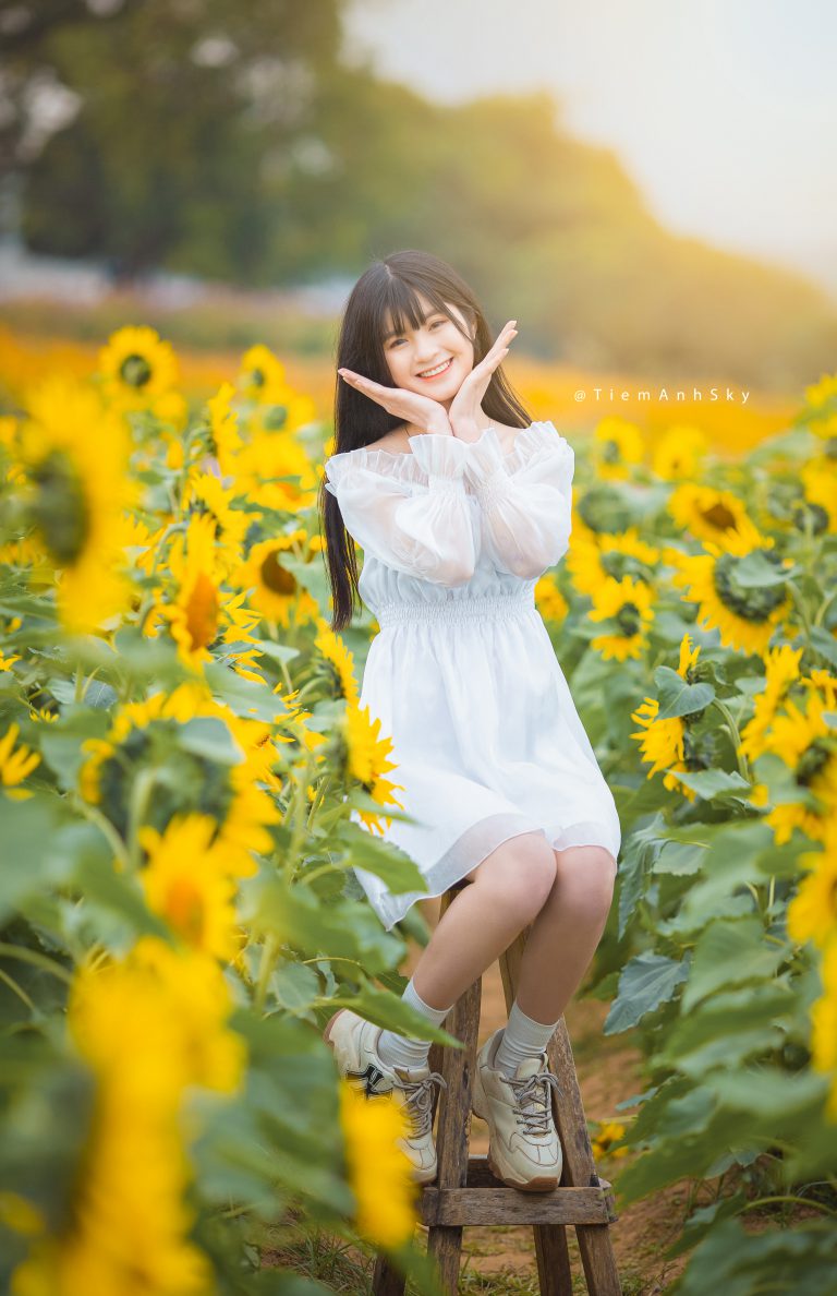 Chụp Ảnh Hoa Hướng Dương