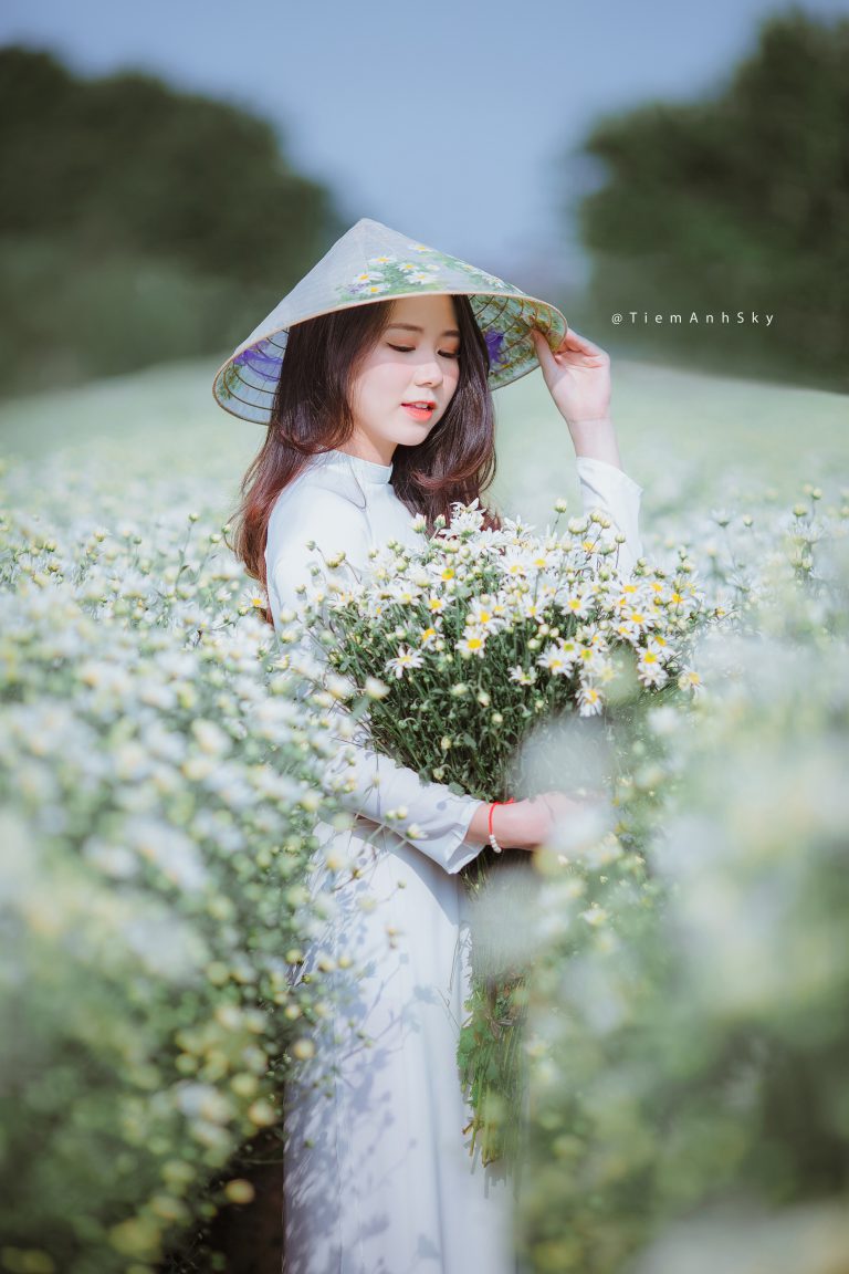 Bộ Ảnh Cúc Họa Mi – Minh Phụng