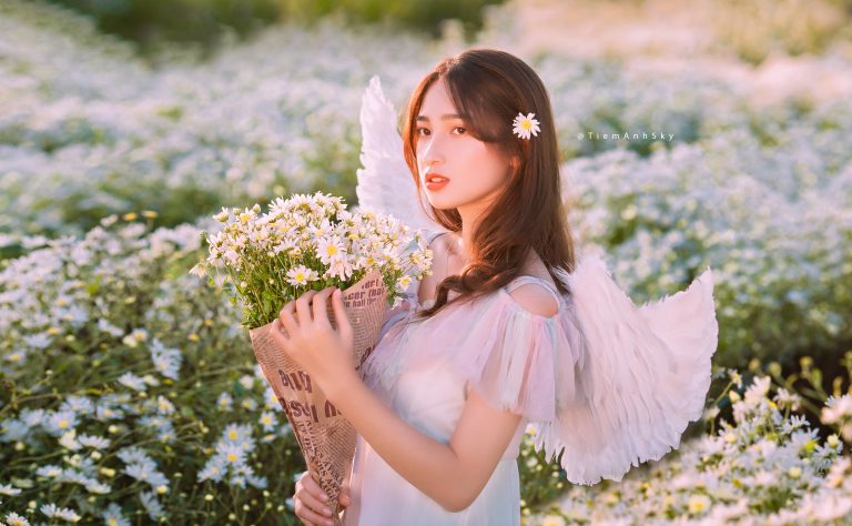 Bộ Ảnh Cúc Họa Mi – Khánh Hà