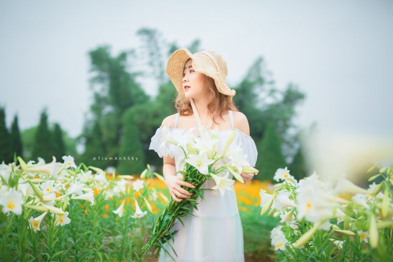 Bộ Ảnh Hoa Loa Kèn Tháng 4