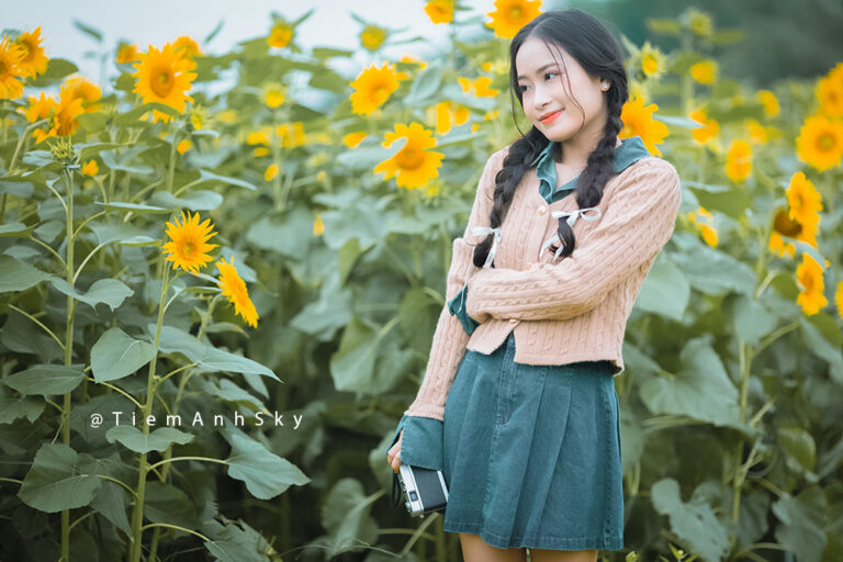 Kinh Nghiệm Chụp Ảnh Với Hoa Hướng Dương
